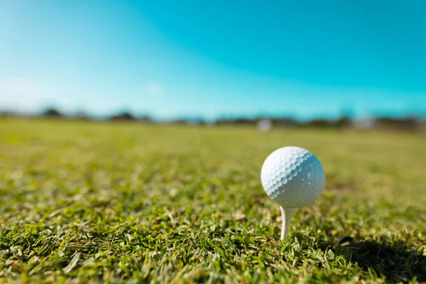 晴れた日に澄んだ青い空に対して芝生の土地の上の木の上の白いゴルフボールのクローズアップ スペースをコピーします グリーン ゴルフ 変更なし スポーツ 週末の活動のコンセプト — ストック写真