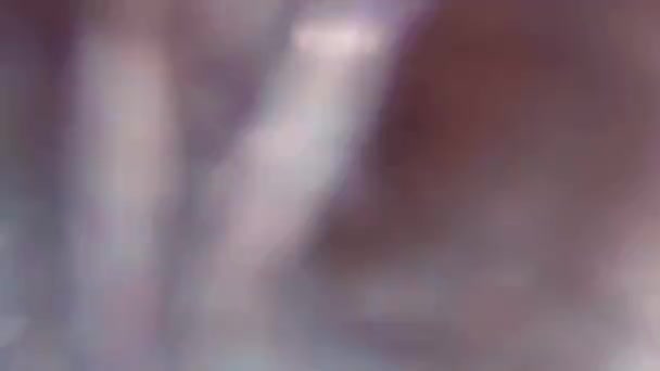Щаслива Жінка Посміхається Камеру Басейні Повільному Русі — стокове відео