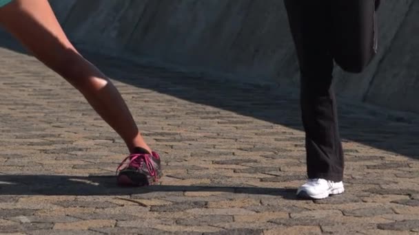 Donne Sportive Che Fanno Stretching Insieme Sul Lungomare — Video Stock