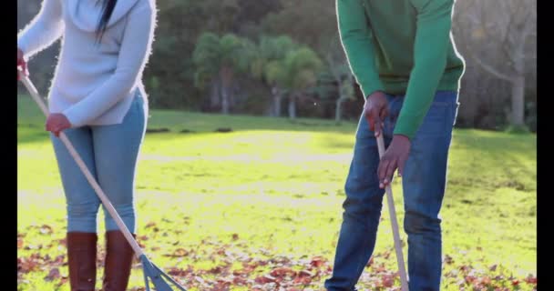 Keluarga Menyapu Daun Musim Gugur Dalam Format Berkualitas Tinggi — Stok Video