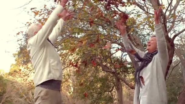 Olgun Çift Etrafında Atma Yaprakları Birlikte Eğleniyor — Stok video