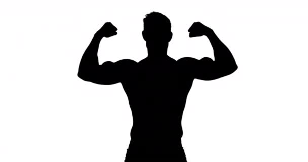 Silueta Muscular Del Hombre Flexionando Los Músculos Sobre Fondo Blanco — Vídeos de Stock