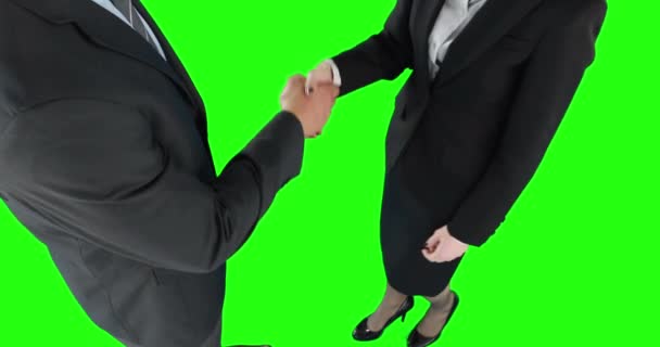 Obchodní Lidé Handshaking Zelené Obrazovce — Stock video