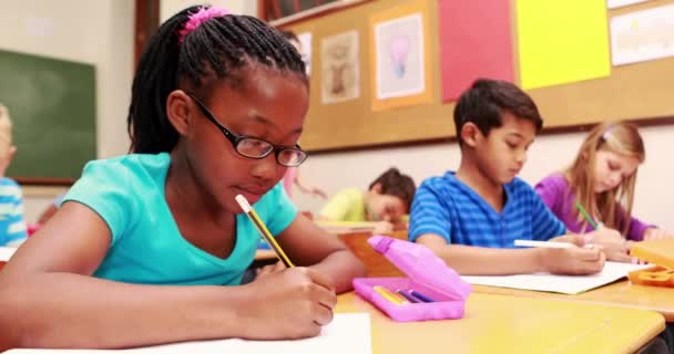 Kleines Mädchen Zeichnet Unterricht Mit Bleistift — Stockvideo