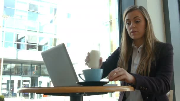 Femme Affaires Utilisant Ordinateur Portable Dans Café Format Haute Qualité — Video