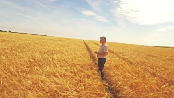 Vista Aérea Del Agricultor Caminando Por Sus Campos Formato Ultra — Vídeo de stock