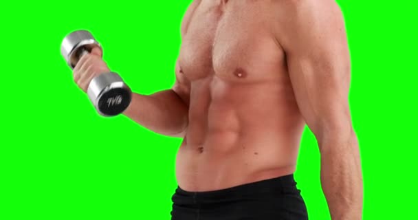 Seção Mid Homem Muscular Levantando Halteres Fundo Verde — Vídeo de Stock