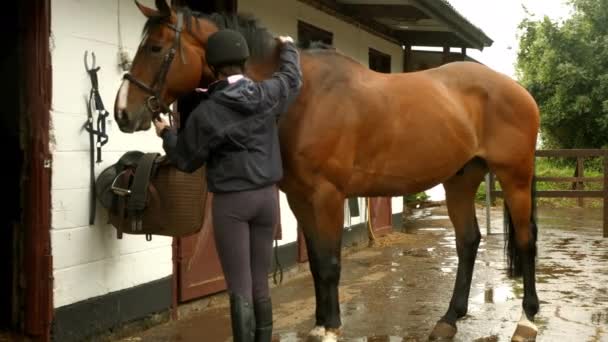 Mooie Brunette Met Haar Paard Hoge Kwaliteit Formaat — Stockvideo