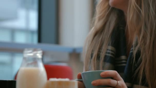 Jolis Amis Appréciant Café Dans Café Format Haute Qualité — Video