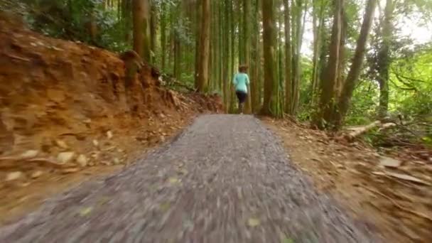 Drone Footage Woman Jogging Forest — Stock Video