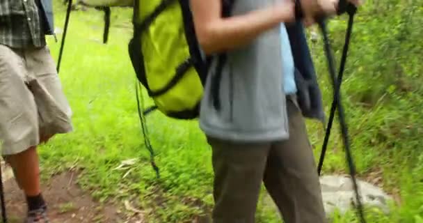 Junges Glückliches Wandererpaar Beim Wandern Der Natur — Stockvideo