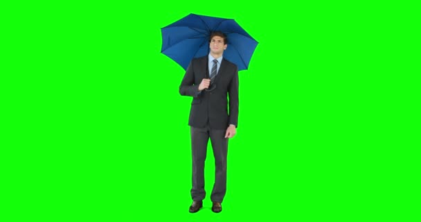 Jonge Zakenman Sheltering Met Paraplu Groen Scherm — Stockvideo