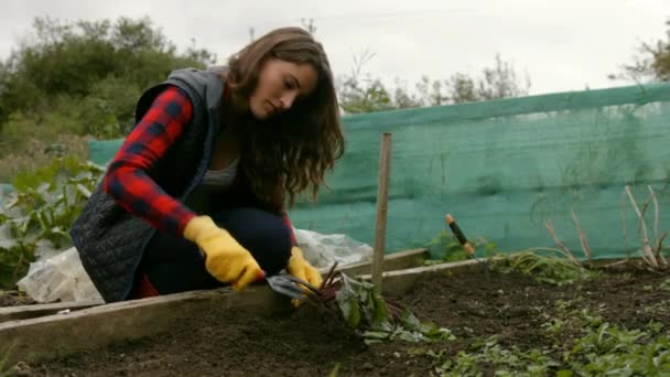 Mujer Joven Bonita Jardinería Sonriendo Cámara — Vídeo de stock