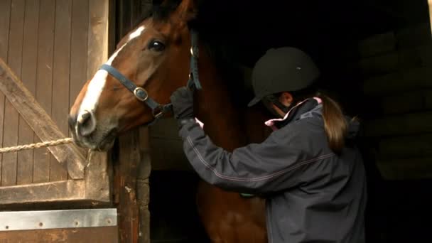 Jolie Brune Avec Cheval Écurie Format Haute Qualité — Video