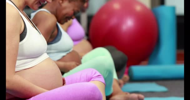 Mulheres Grávidas Fazendo Ioga Estúdio Fitness Formato Alta Qualidade — Vídeo de Stock