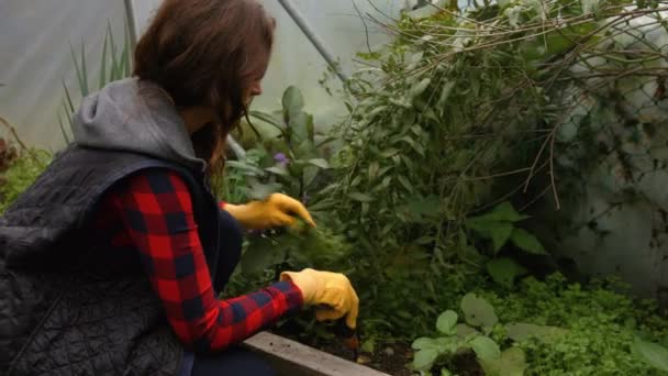 Mujer Joven Bonita Jardinería Sonriendo Cámara Video de stock