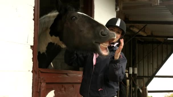 Söt Brunett Utfodring Häst Stall Hög Kvalitet Format — Stockvideo