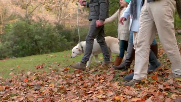 Mutlu Aile Köpek Dedesi Ile Birlikte Eğleniyor — Stok video