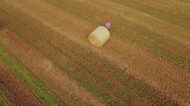 Images Drones Agriculteurs Travaillant Dans Format Haute Qualité — Video