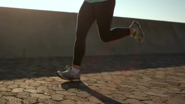 Sorridente Donna Sportiva Facendo Jogging Lungomare — Video Stock