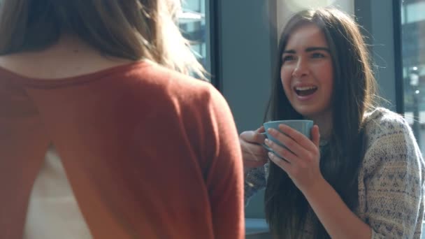 Hübsche Freundinnen Plaudern Bei Kaffee Café Hochwertigen Format — Stockvideo