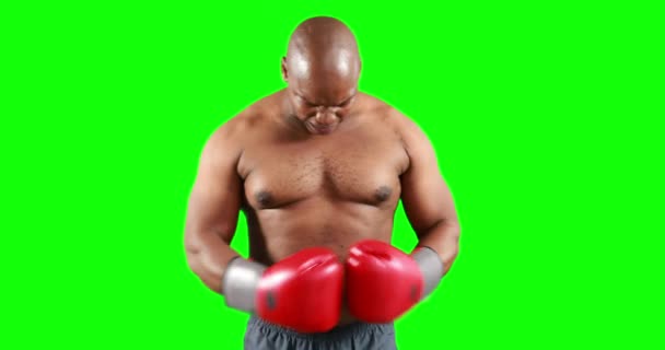 Boxeador Agresivo Posando Para Cámara Sobre Fondo Verde — Vídeos de Stock