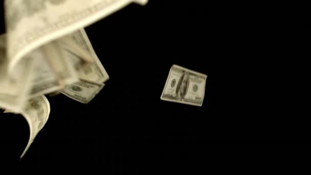 Dólares Soplando Sobre Fondo Negro Cámara Lenta — Vídeo de stock