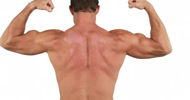 Hombre Musculoso Flexionando Sus Músculos Sobre Fondo Blanco — Vídeo de stock