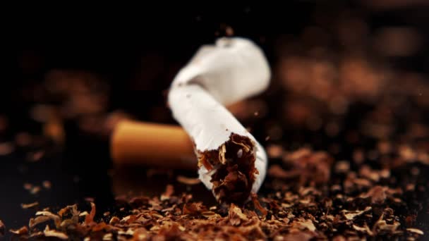 Hand Eliminera Cigarett Slow Motion — Stockvideo