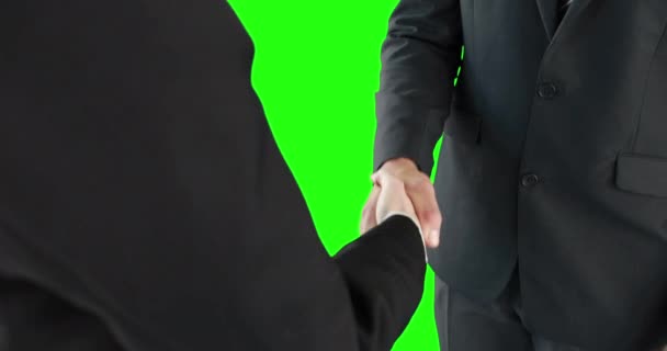 Empresários Aperto Mão Tela Verde — Vídeo de Stock