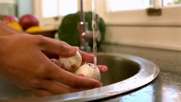 Wanita Mencuci Jamur Dapur Dalam Gerakan Lambat — Stok Video