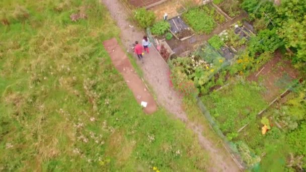 Imagens Drone Jardineiro Empurrando Carrinho Mão Formato Alta Qualidade — Vídeo de Stock