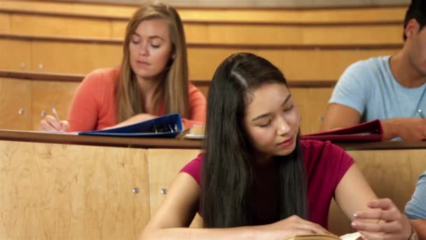 Estudantes Sentados Lado Outro Enquanto Aprendem Faculdade — Vídeo de Stock