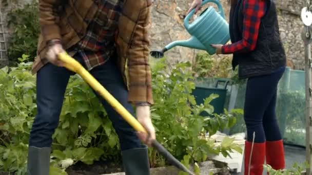 Fiatal Pár Együtt Kertészkedik — Stock videók