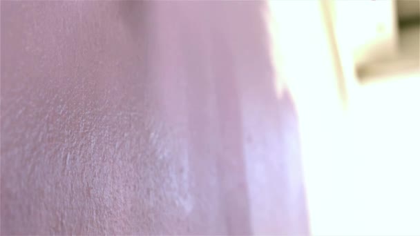 Mujer Redecorando Una Pared Con Pincel Cámara Lenta — Vídeo de stock