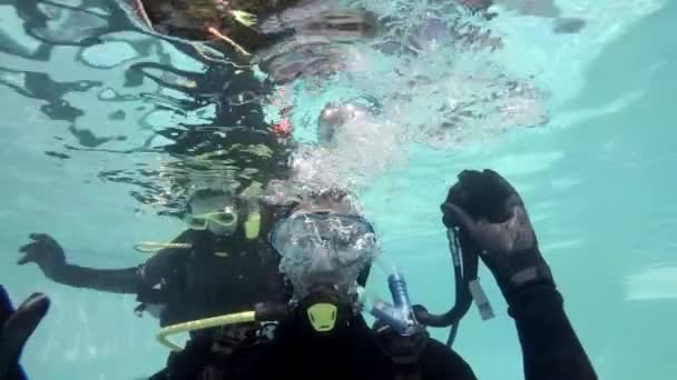 Pessoas Equipamento Mergulho Olhando Para Câmera Subaquática — Vídeo de Stock