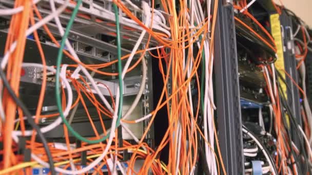 Wires Cables Coming Out Server High Quality Format — Stock Video