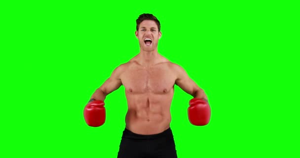 Boxer Sans Chemise Colère Avec Des Gants Sur Fond Vert — Video