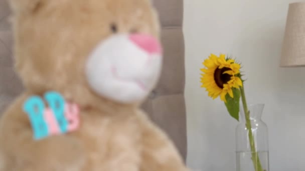 Κοντινό Πλάνο Μια Teddy Αρκούδα Στο Κρεβάτι Στο Σπίτι — Αρχείο Βίντεο