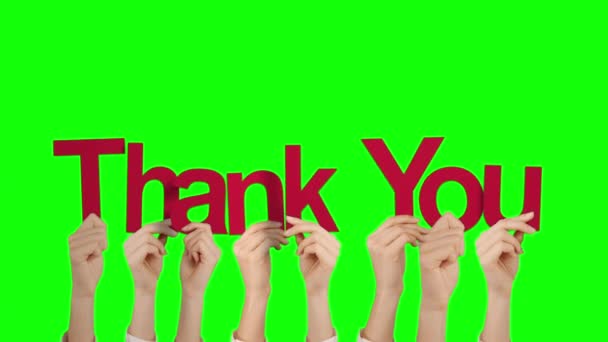 Руки Держащие Благодарность Зеленом Фоне Экрана — стоковое видео