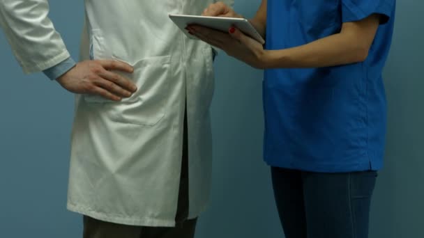 Veterinaria Enfermera Charlando Oficina Formato Alta Calidad — Vídeos de Stock