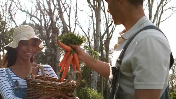 Jovem Casal Feliz Com Caixa Legumes Jardim — Vídeo de Stock