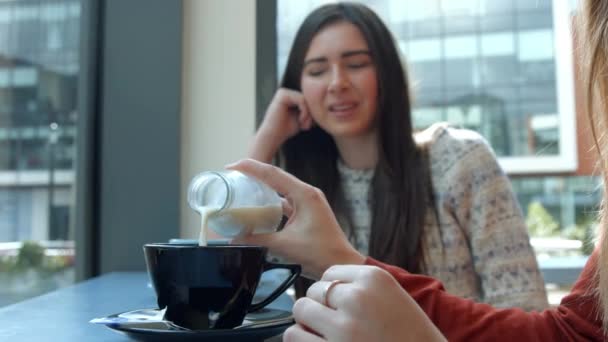 Mooie Vrienden Chatten Koffie Een Café Hoge Kwaliteit Formaat — Stockvideo