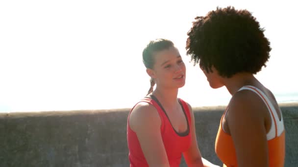 Két Sportos Nők Jogging Minden Egyik Oldalán Sétányon — Stock videók