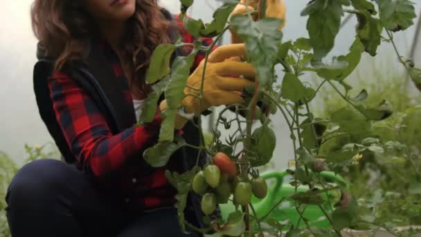 Vue Face Une Jolie Jeune Femme Jardinage — Video