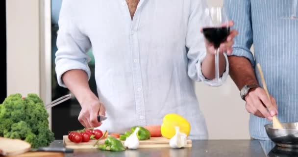 Homosexuella Par Matlagning Tillsammans Köket — Stockvideo