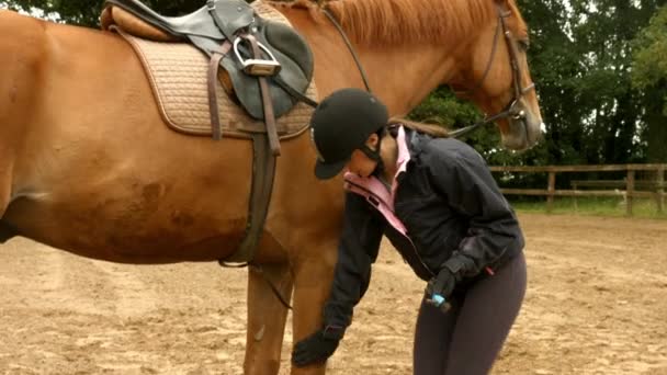 Mulher Verificando Seus Cavalos Casco Paddock Formato Alta Qualidade — Vídeo de Stock