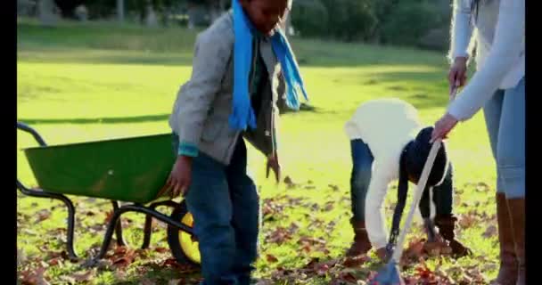 Aile Sonbahar Kadar Yan Yatan Yüksek Kaliteli Biçiminde Bırakır — Stok video