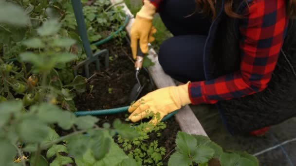 Mujer Joven Bonita Jardinería Sonriendo Cámara — Vídeo de stock