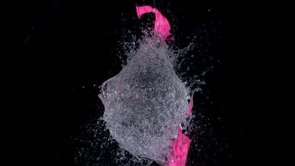 Grote Roze Water Ballon Exploderende Tegen Zwarte Achtergrond — Stockvideo